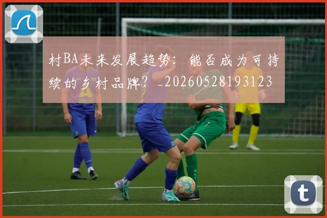 村BA未来发展趋势：能否成为可持续的乡村品牌？_20260528193123