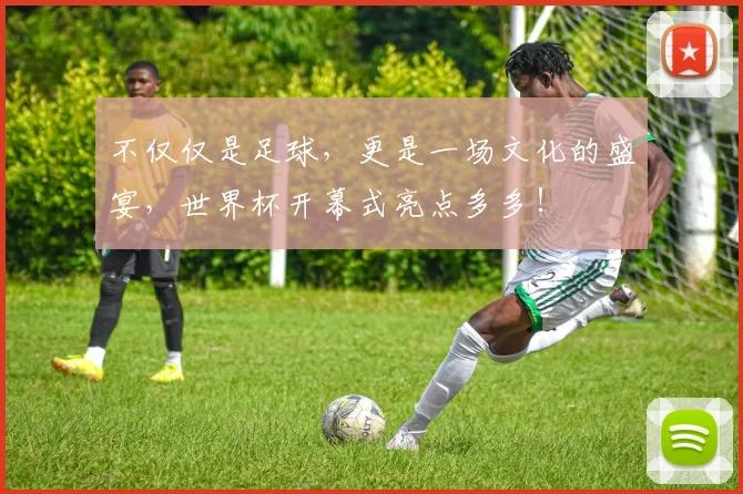 不仅仅是足球,更是一场文化的盛宴,世界杯开幕式亮点多多!